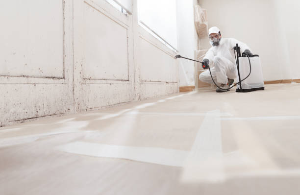 24/7 Emergency Black Mold Removal experts in Richmond, IL